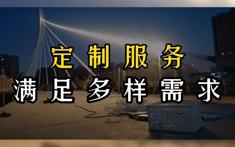 服务定制